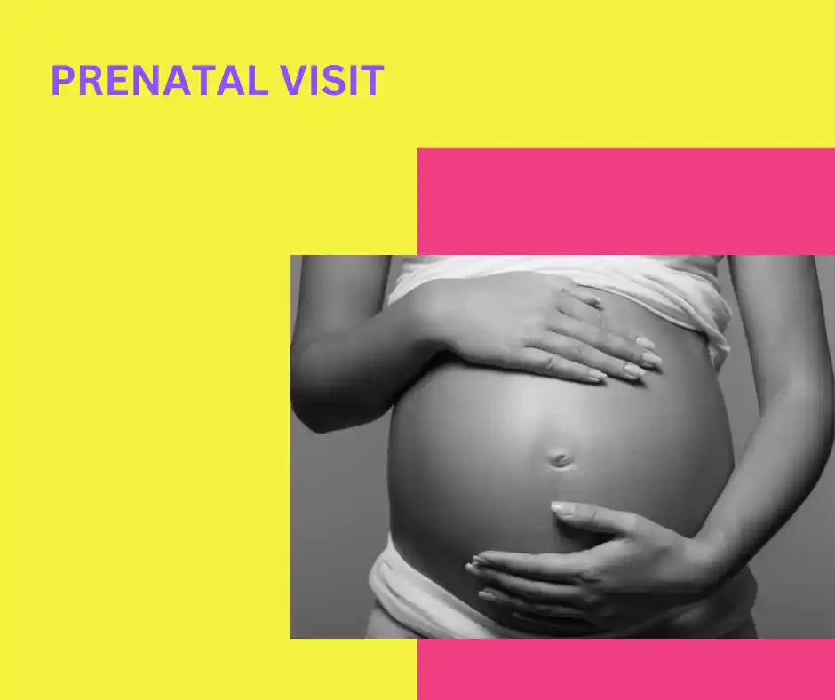 The image features a black-and-white photo of a pregnant woman gently holding her rounded belly. The words "PRENATAL VISIT" are displayed at the top, with a bright yellow and pink border framing the image.