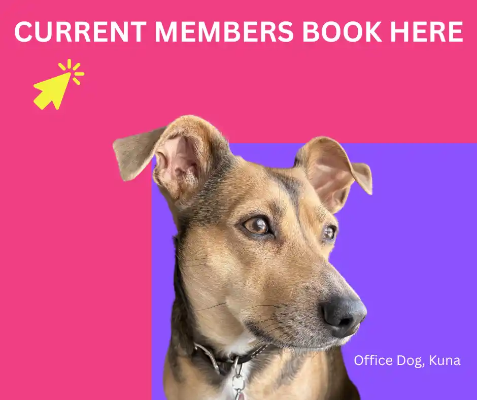 A dog named Kuna is pictured with the text "CURRENT MEMBERS BOOK HERE" and a clickable cursor symbol. The background is bright pink and purple.
